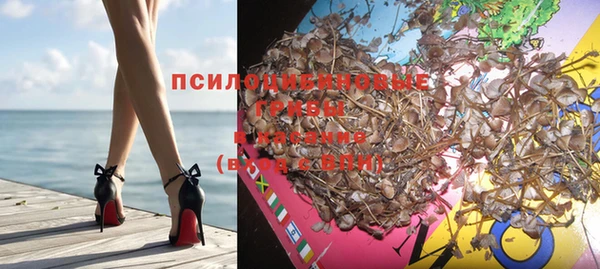 стафф Сатка